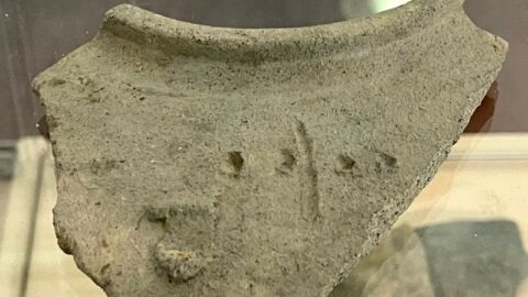 2024 : Expositions et conférences