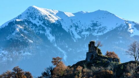 2021 : Visites commentées sur le site