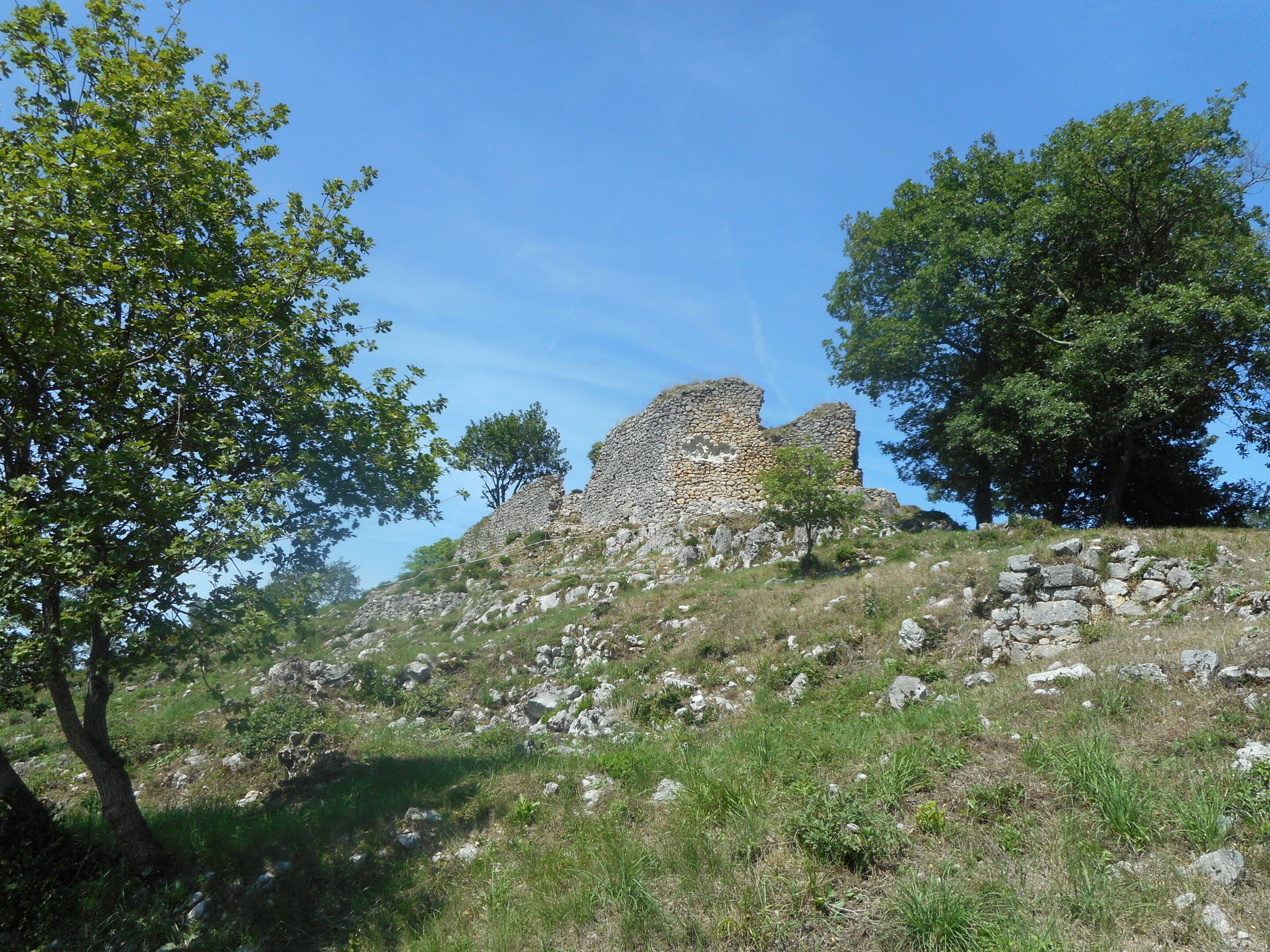 Visites commentées au château