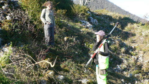 2012 : Bilan des actions pour le château