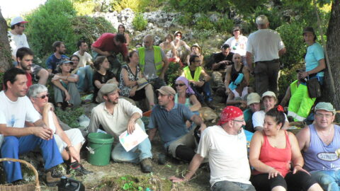 2011 : Débroussaillage et relevé topographique