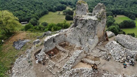 2021 : Reportages vidéos et photographiques