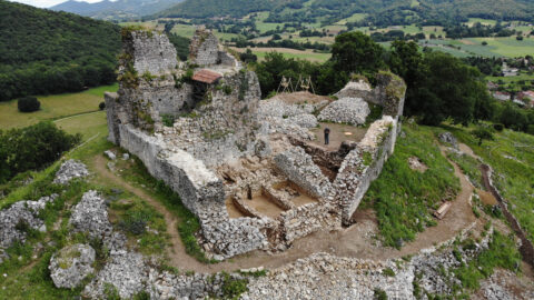 Projets de l'association pour l'année 2026