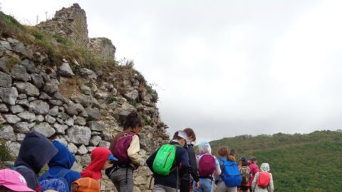 2024 : Visites au château