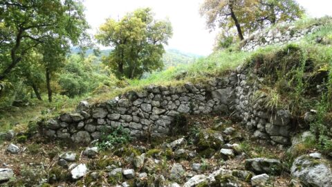 2025 : Visites et ateliers