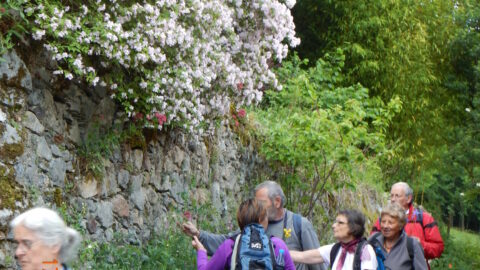 2015 : Randonnée à Malvezie