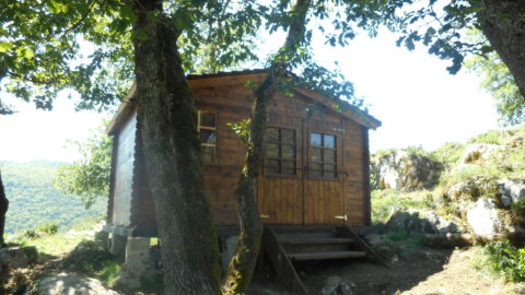 2014 : Construction d'un abri de chantier au château