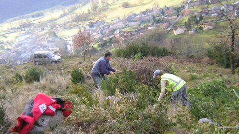 2012 : Débroussaillage et relevé topographique au château