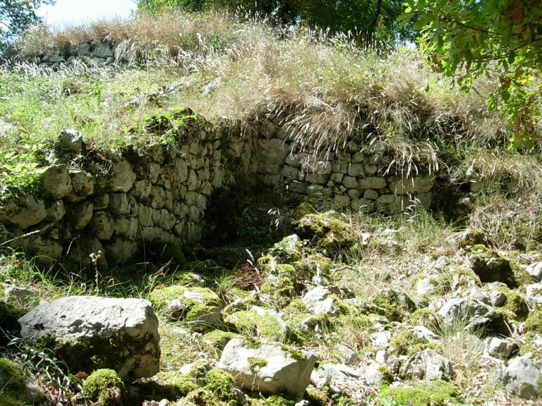 La flore au château