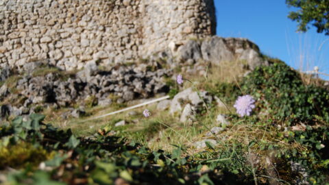 2020 : Visite, Exposition et Conférence de fin d'année