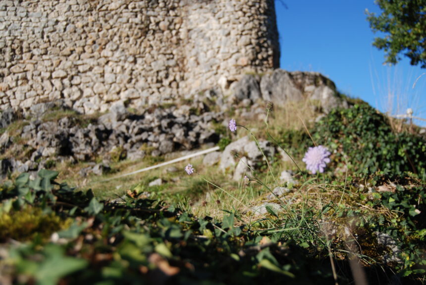 Visites Expositions Conférences