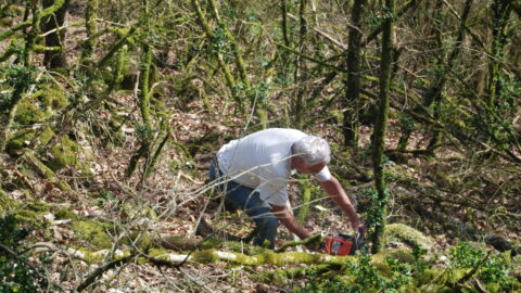 2021 : Préparation du terrain et prospection archéologique