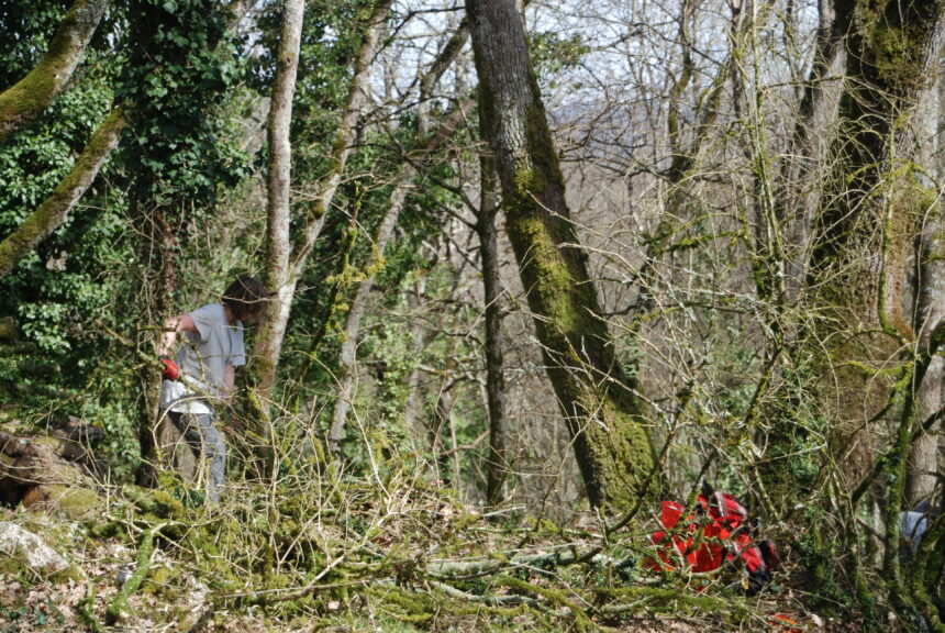 Préparation du terrain et prospection au château