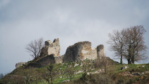 2019 : Bilan des actions pour le château