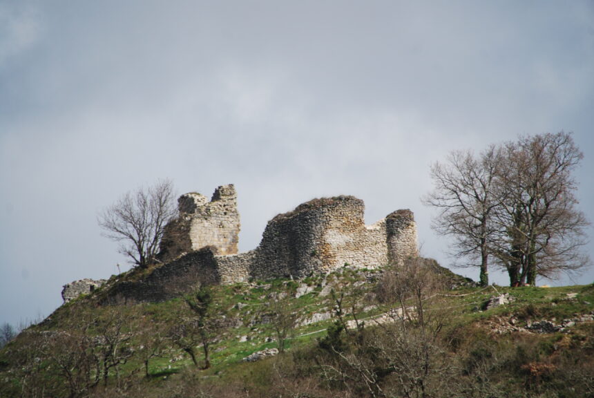 Rapports d'activités de l'association