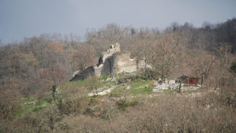 2022 : Visites et ateliers