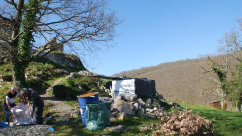 2017 : Aménagements sur le site