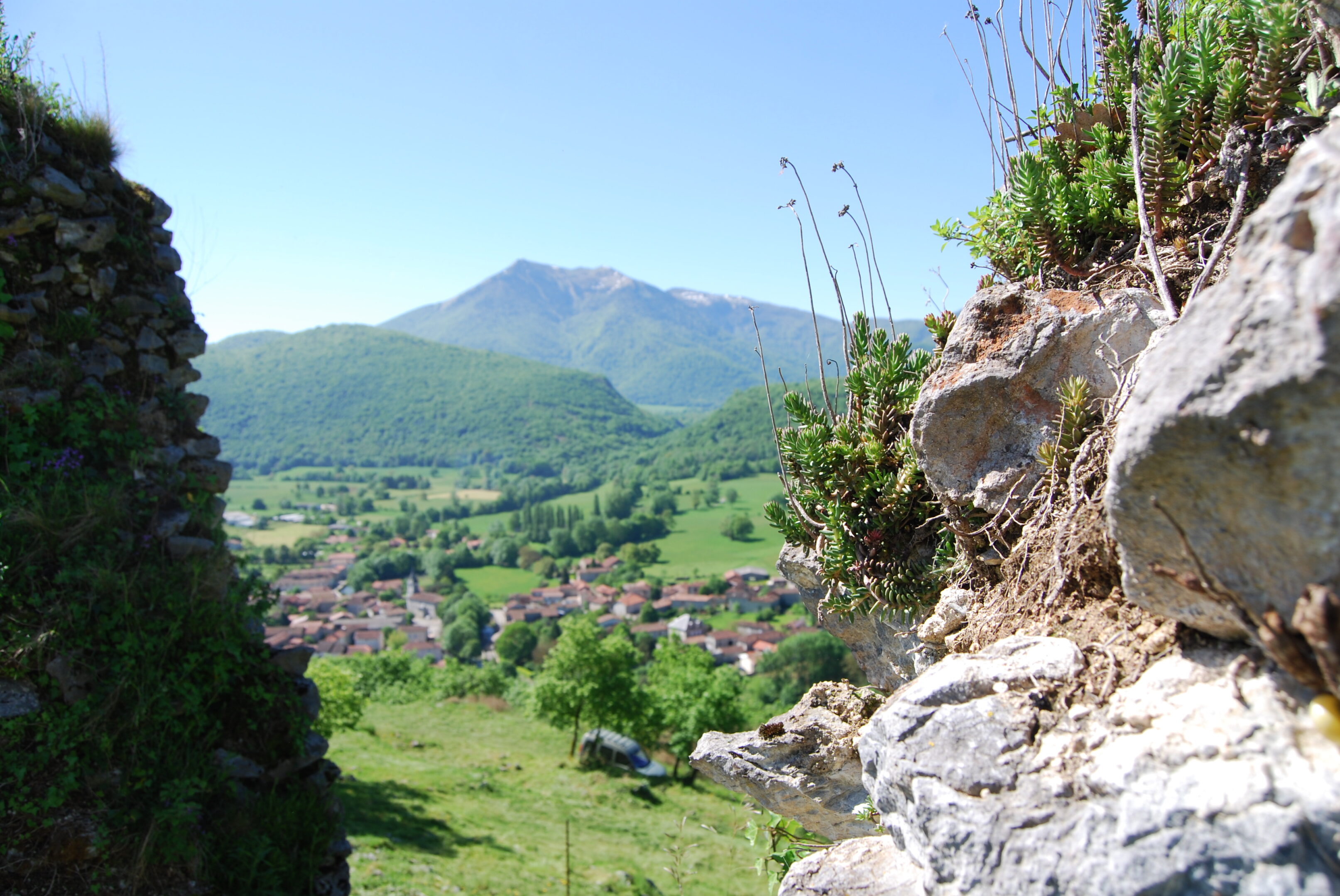 Visites commentées au château