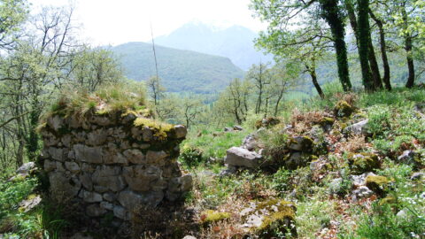 2021 : Portes ouvertes lors des sondages