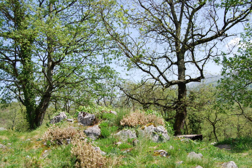 Aménagement au château