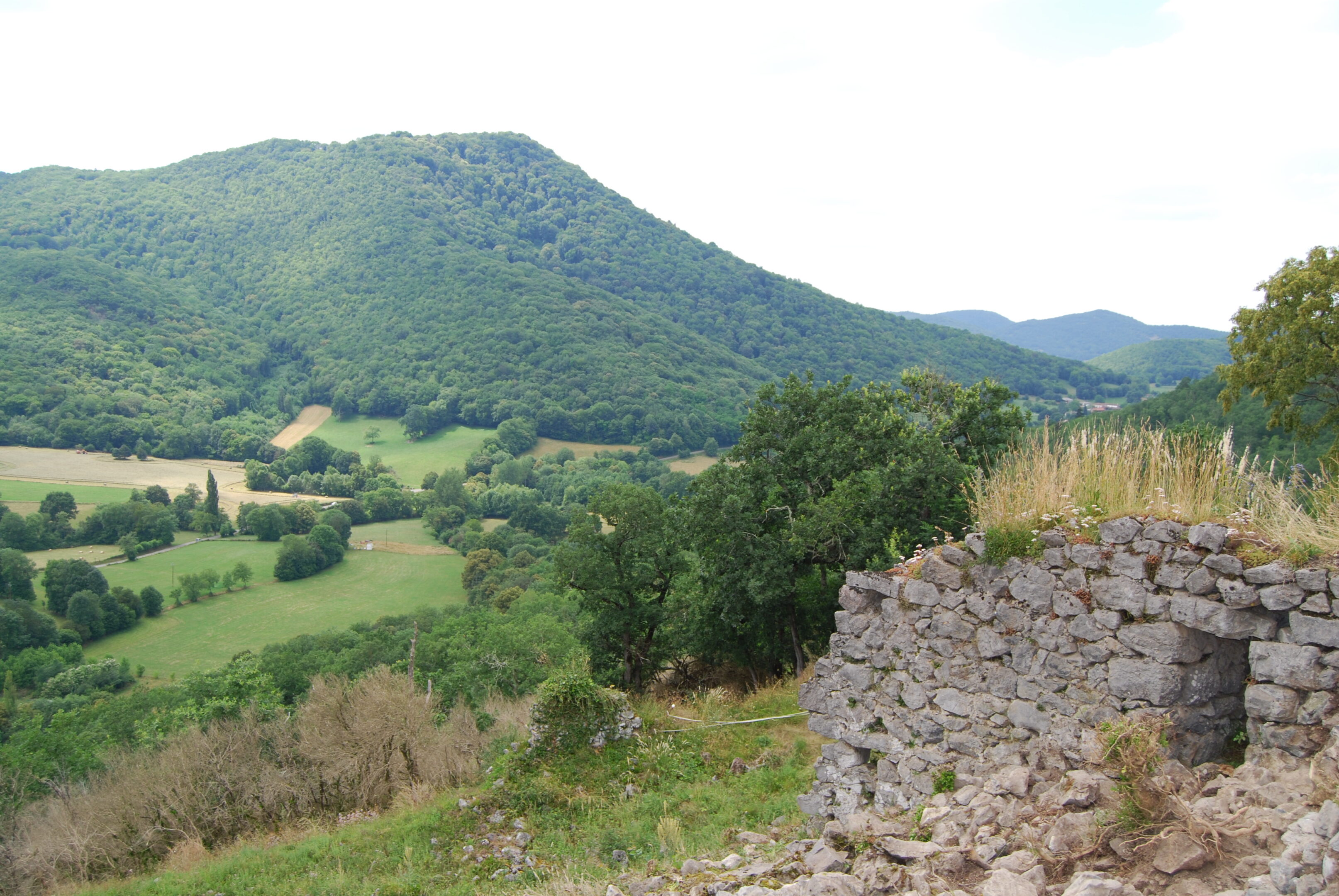 Visites commentées sur le site