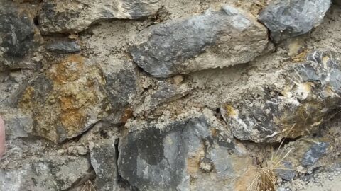 2022 : Consolidation