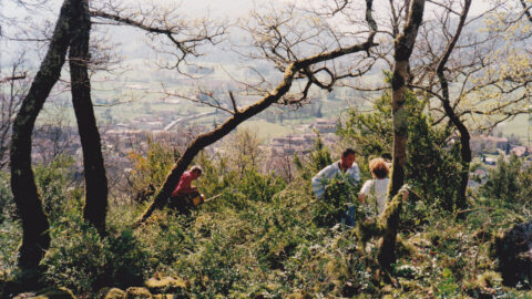 1997 : Premiers débroussaillages au château