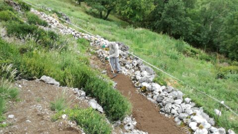 2023 : Aménagements sur le site