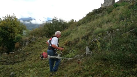 2017 : Entretien du site