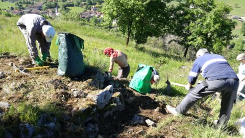 2020 : Préparation du terrain pour les sondages