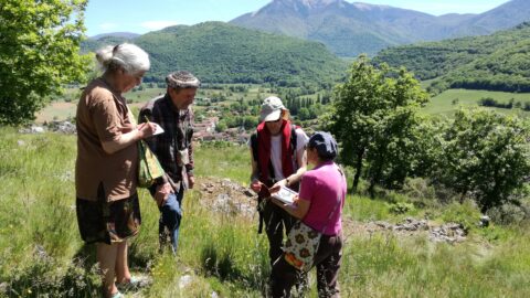 2019 : Recensement de la flore au château