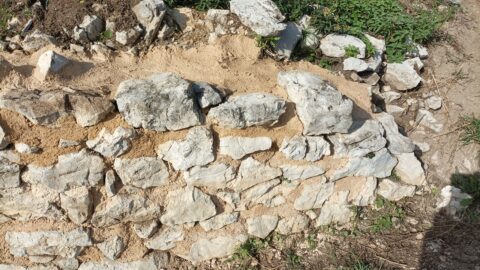 2024 : Consolidation