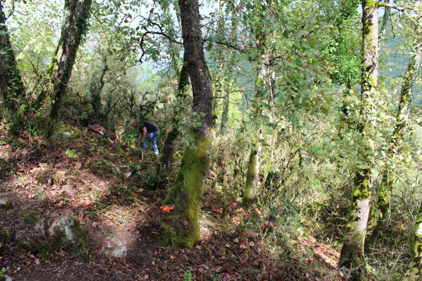 Prospections archéologiques