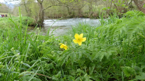 2018 : Découverte du Château de l'Etoile à Cabanac-Cazaux