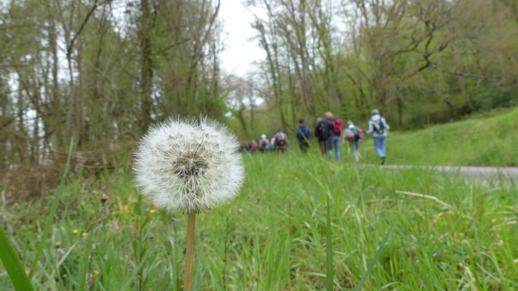 Promenade à Cabanac